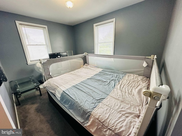 413 S Andrews Ave, Glenolden, PA 19036 - view of carpeted bedroom