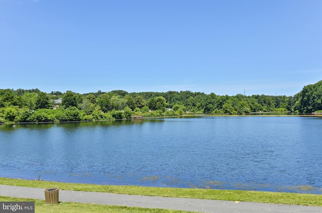 19256 Misty Meadow Ter, Germantown, MD 20874 - water view with a forest