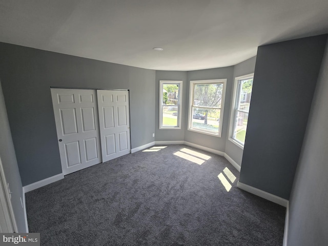 1361 Park Blvd, Camden, NJ 08103 - unfurnished bedroom featuring multiple windows, carpet flooring, and a closet