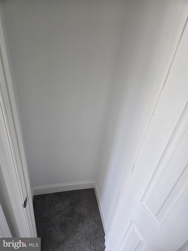 1361 Park Blvd, Camden, NJ 08103 - detailed view of carpet and baseboards