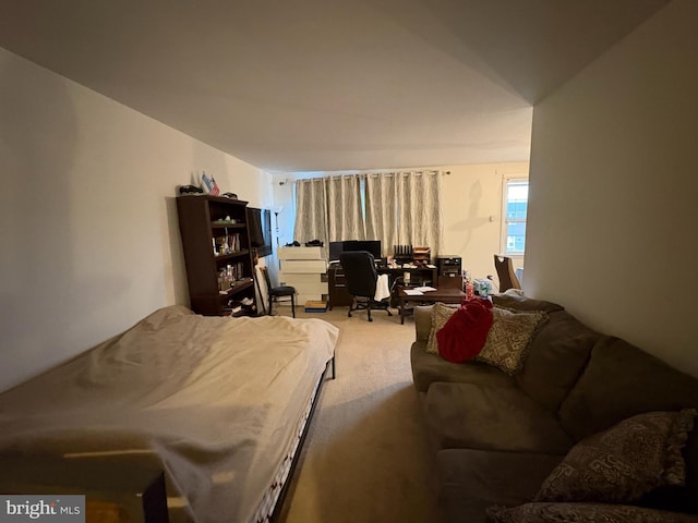 250 Nandina Plz, Philadelphia, PA 19116 - bedroom featuring a desk and carpet flooring