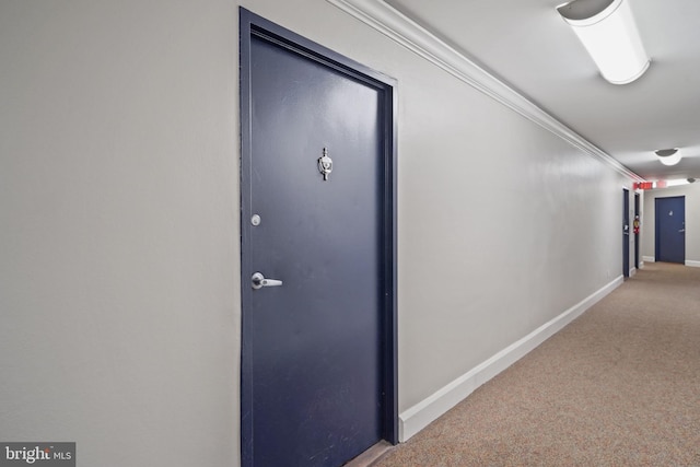 1801 Clydesdale Pl NW Unit 420, Washington, DC 20009 - hallway with carpet floors, baseboards, and crown molding