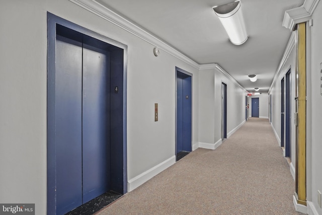 1801 Clydesdale Pl NW Unit 420, Washington, DC 20009 - hall featuring carpet floors, elevator, crown molding, and baseboards