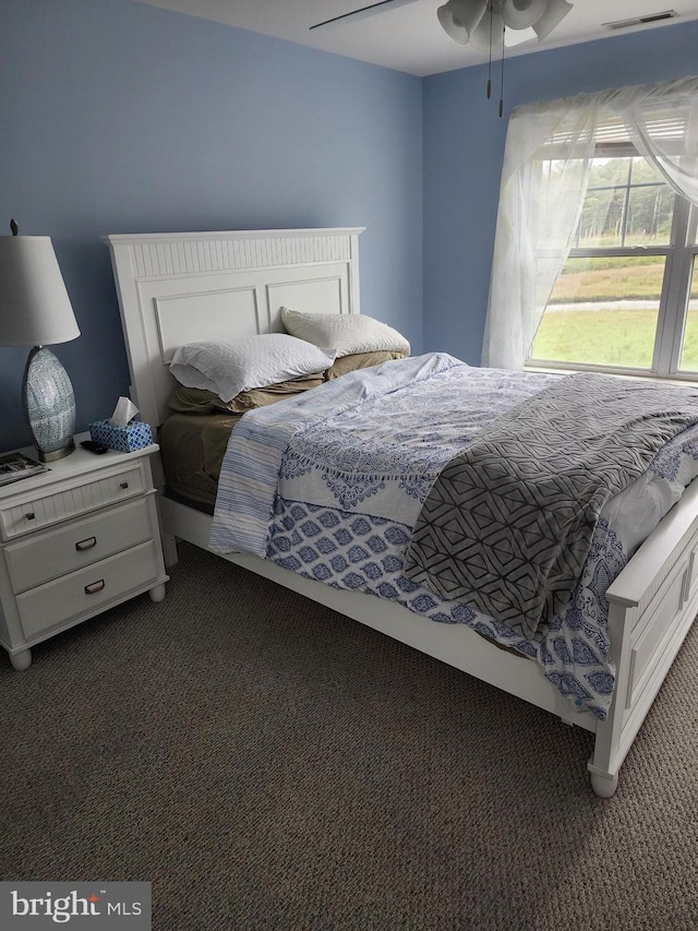 37484 Pettinaro Dr Unit 8300, Ocean View, DE 19970 - view of carpeted bedroom