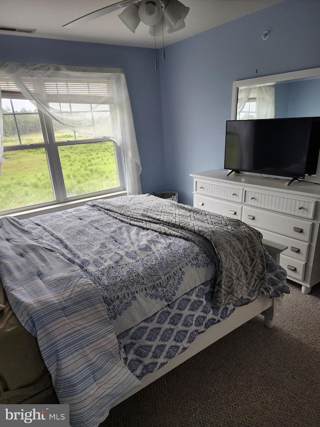 37484 Pettinaro Dr Unit 8300, Ocean View, DE 19970 - bedroom with multiple windows, carpet flooring, and a ceiling fan