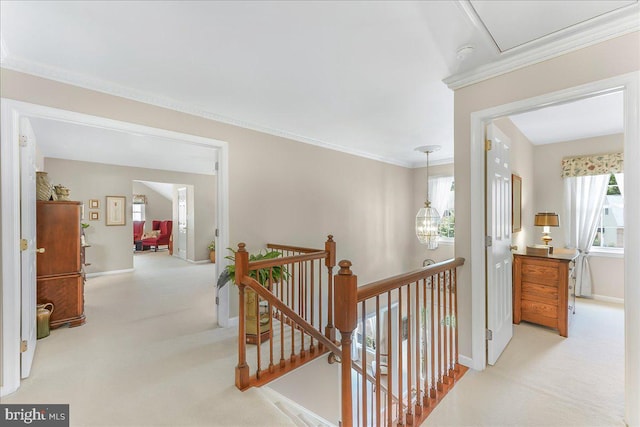 614 Timber Wood Blvd, Newark, DE 19702 - corridor with light carpet, an upstairs landing, baseboards, crown molding, and healthy amount of natural light