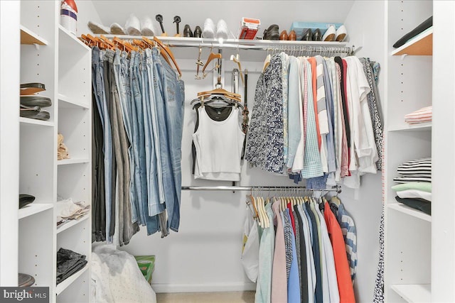 614 Timber Wood Blvd, Newark, DE 19702 - view of spacious closet