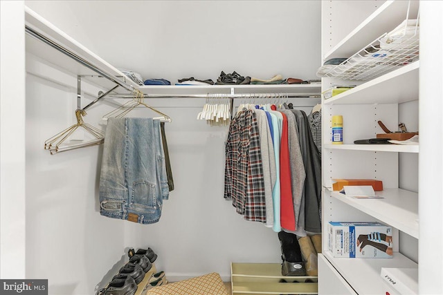 614 Timber Wood Blvd, Newark, DE 19702 - view of walk in closet