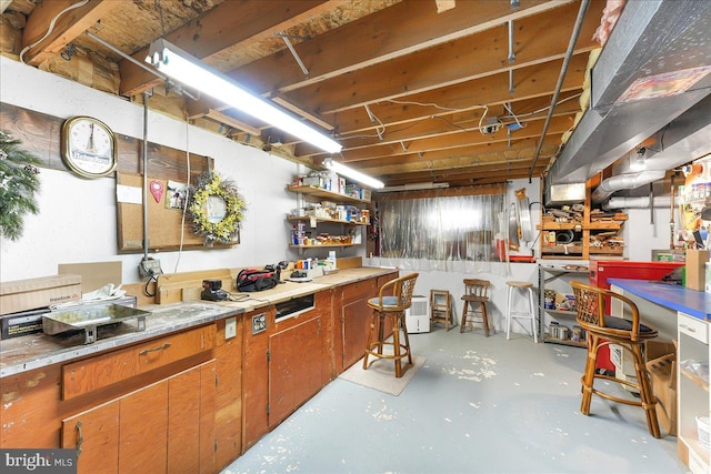 614 Timber Wood Blvd, Newark, DE 19702 - unfinished below grade area with a workshop area