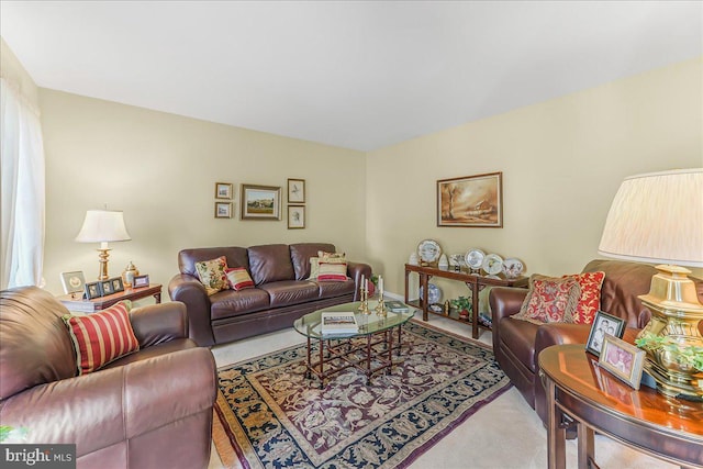 614 Timber Wood Blvd, Newark, DE 19702 - living area featuring carpet flooring