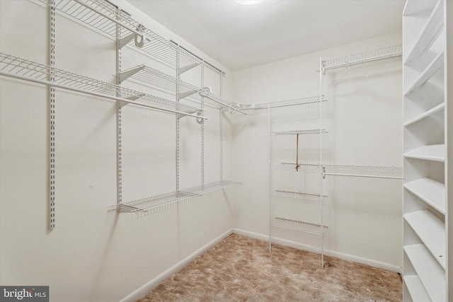 711 Pikeland Ave, Spring City, PA 19475 - walk in closet with carpet floors