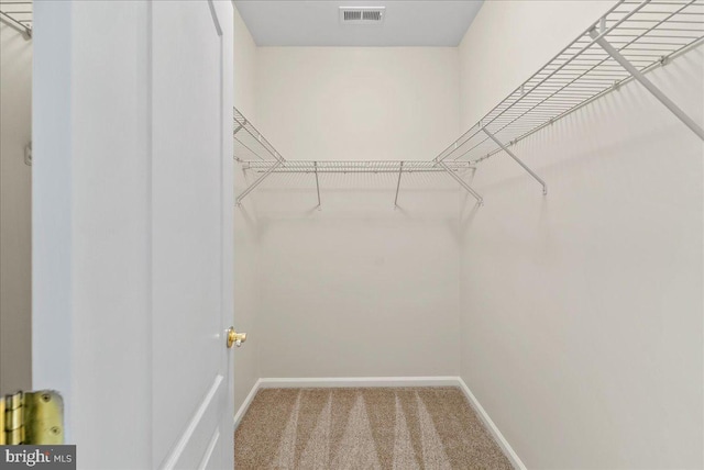 44324 Stableford Sq, Ashburn, VA 20147 - walk in closet featuring carpet
