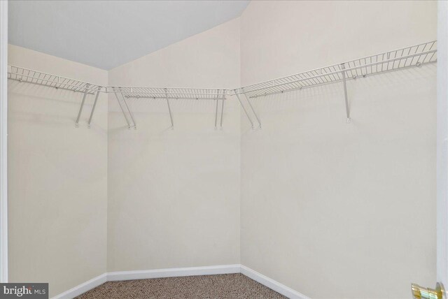 44324 Stableford Sq, Ashburn, VA 20147 - spacious closet with carpet floors