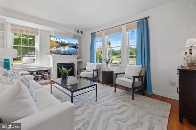 3 Russell Rd Unit 3B, Alexandria, VA 22301 - living area featuring wood finished floors, a fireplace, and ornamental molding