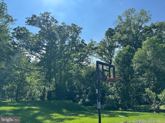 322 Wallace Dr, Newark, DE 19711 - view of grassy yard featuring a wooded view