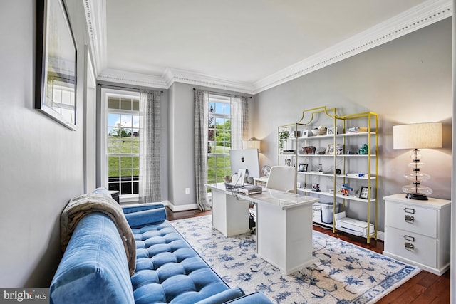 18604 Wild Raspberry Dr, Purcellville, VA 20132 - office space featuring ornamental molding, wood finished floors, and baseboards