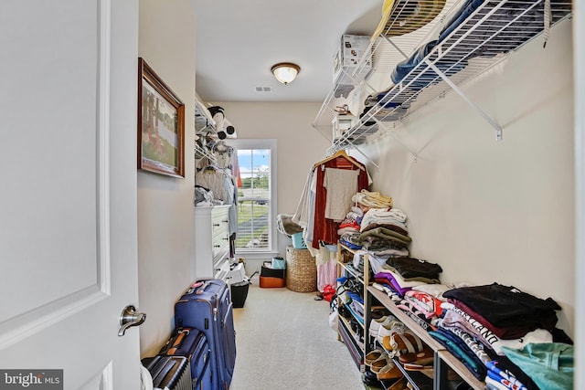 18604 Wild Raspberry Dr, Purcellville, VA 20132 - walk in closet with carpet flooring
