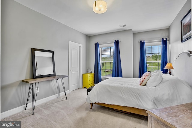 18604 Wild Raspberry Dr, Purcellville, VA 20132 - bedroom with multiple windows, carpet floors, and baseboards