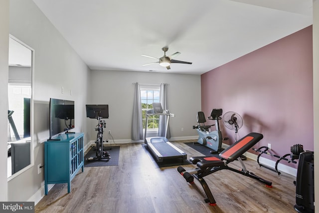 18604 Wild Raspberry Dr, Purcellville, VA 20132 - exercise area with wood finished floors, a ceiling fan, and baseboards