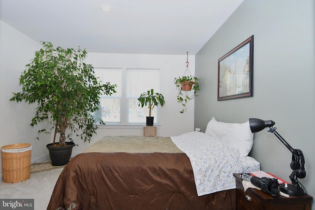 10401 Resort Rd Unit F, Ellicott City, MD 21042 - view of carpeted bedroom