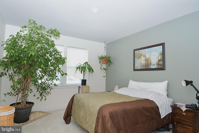 10401 Resort Rd Unit F, Ellicott City, MD 21042 - view of carpeted bedroom