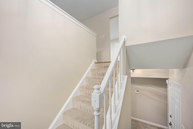 22 Buck Rd, Stafford, VA 22556 - stairway with carpet floors and baseboards