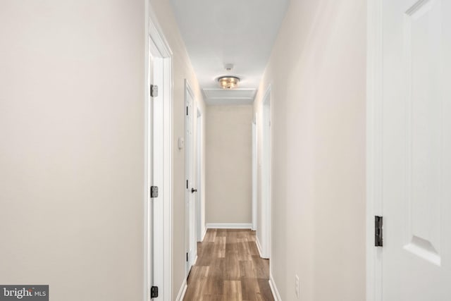 22 Buck Rd, Stafford, VA 22556 - hallway featuring wood finished floors and baseboards