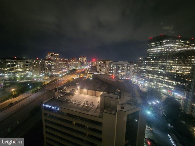1211 S Eads St Unit 1701, Arlington, VA 22202 - city view