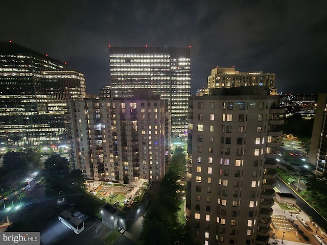 1211 S Eads St Unit 1701, Arlington, VA 22202 - city view with a view of city lights