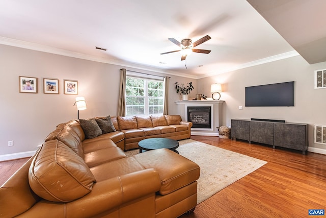 5301 Little Fox Ln, Charlottesville, VA 22903 - living area with ceiling fan, ornamental molding, wood finished floors, a glass covered fireplace, and baseboards