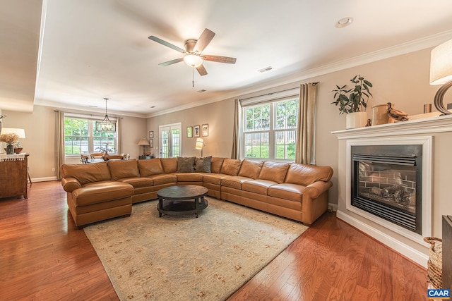 5301 Little Fox Ln, Charlottesville, VA 22903 - living room with healthy amount of natural light, wood finished floors, a glass covered fireplace, a ceiling fan, and ornamental molding