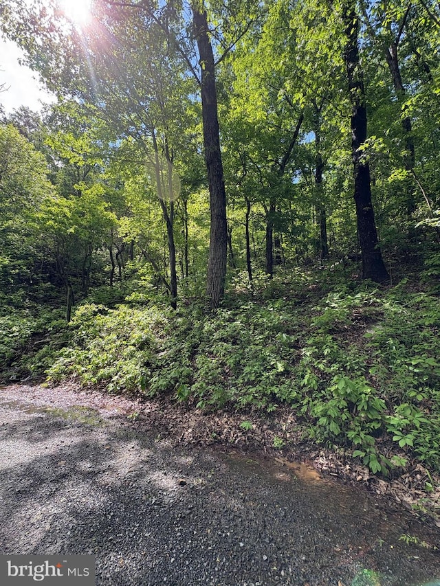 LOT147 Tomahawk Trl, Winchester, VA 22602