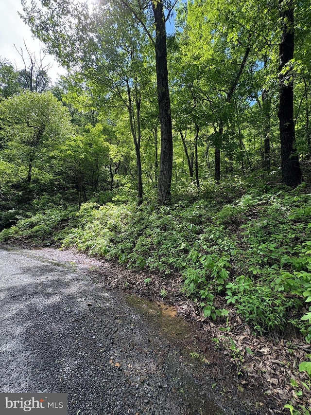 LOT147 Tomahawk Trl, Winchester, VA 22602