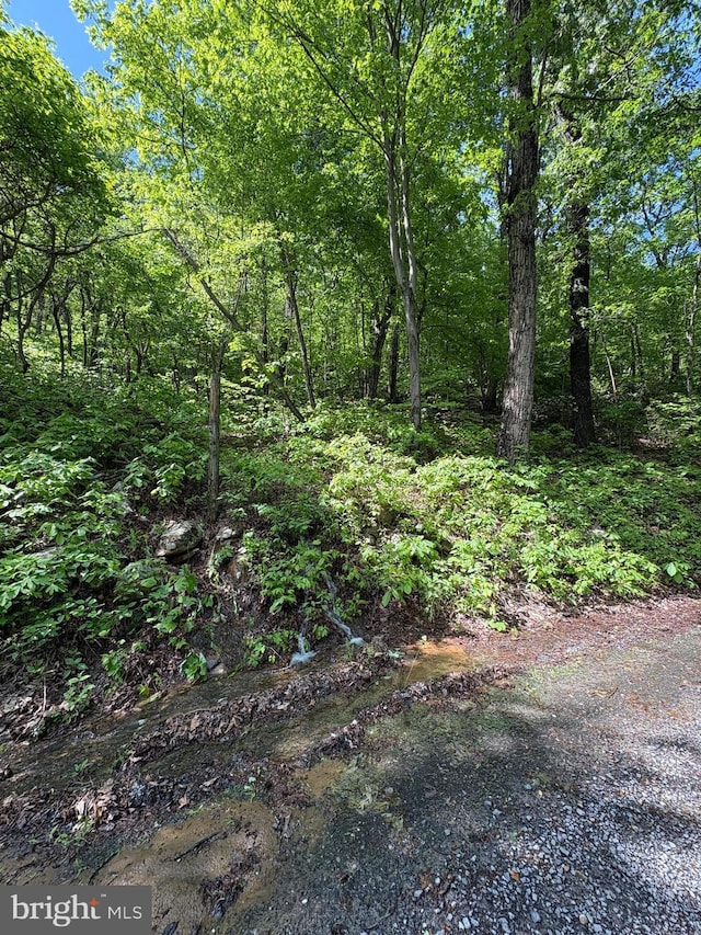 LOT147 Tomahawk Trl, Winchester, VA 22602