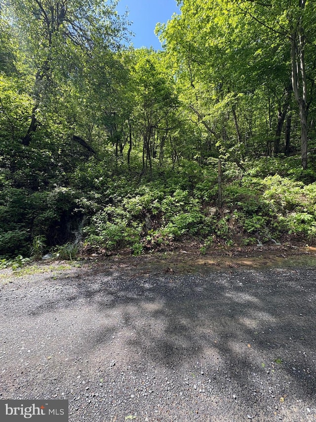 LOT147 Tomahawk Trl, Winchester, VA 22602