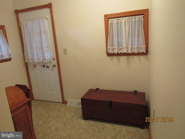 410 Pine Glen Rd, Moshannon, PA 16859 - view of carpeted entrance foyer