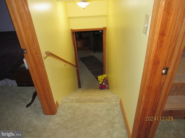 410 Pine Glen Rd, Moshannon, PA 16859 - stairway featuring carpet