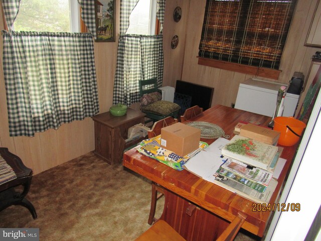 410 Pine Glen Rd, Moshannon, PA 16859 - office area with carpet flooring and wooden walls