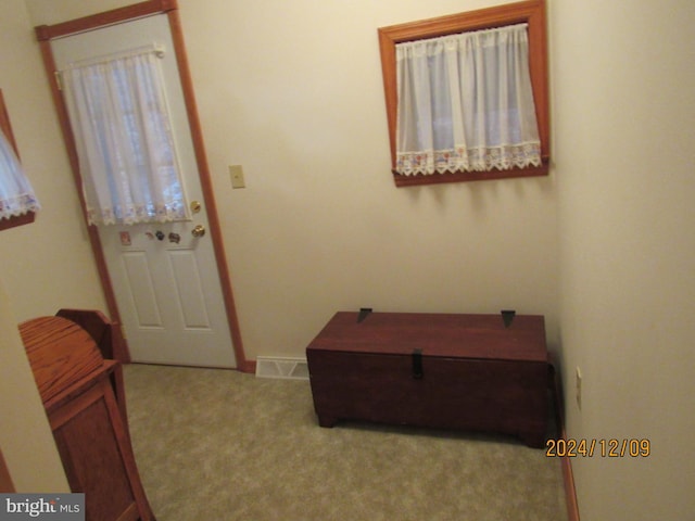 410 Pine Glen Rd, Moshannon, PA 16859 - foyer entrance with carpet flooring