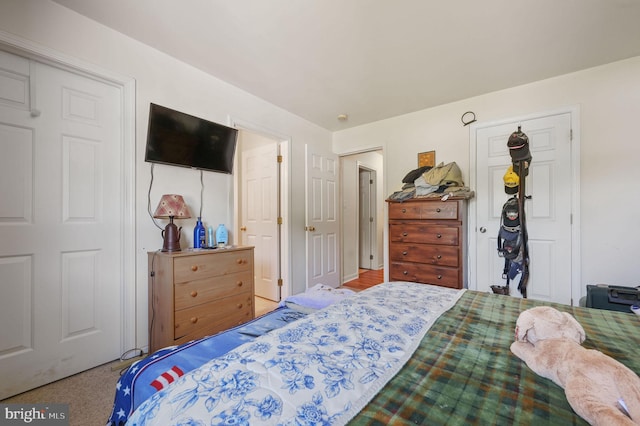 24519 Cedar Ln, Georgetown, DE 19947 - carpeted bedroom with a closet