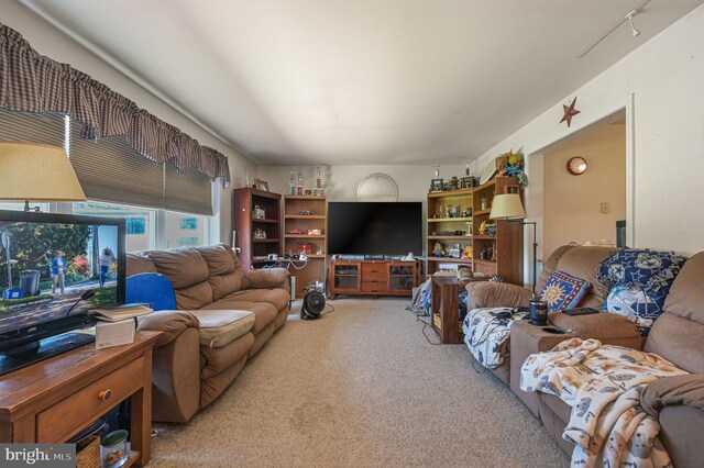 24519 Cedar Ln, Georgetown, DE 19947 - view of carpeted living room