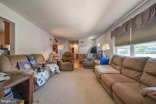 24519 Cedar Ln, Georgetown, DE 19947 - carpeted living area with rail lighting