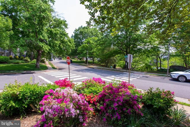 1201 Dartmouth Rd, Alexandria, VA 22314 - view of car parking