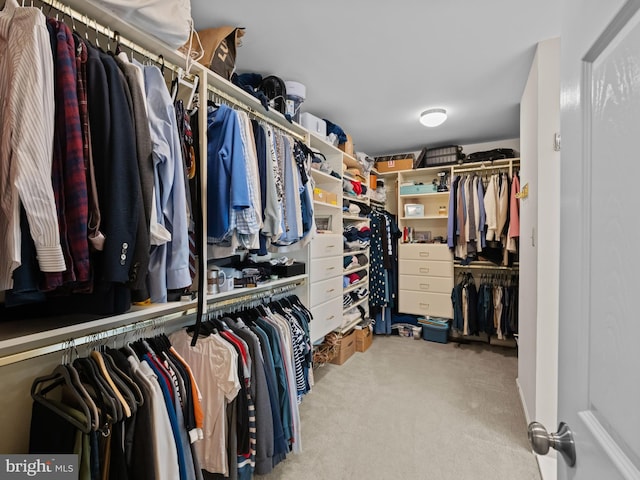 2200 Traies Ct, Alexandria, VA 22306 - walk in closet with carpet floors