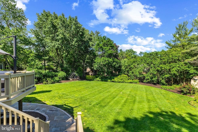 2200 Traies Ct, Alexandria, VA 22306 - view of grassy yard