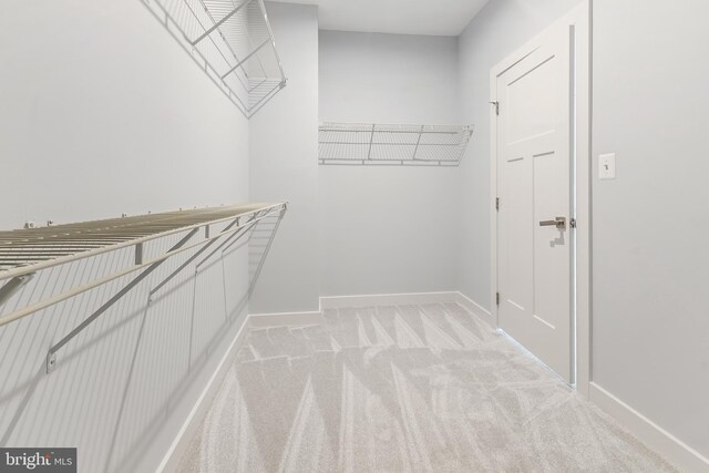 14438 Mattawoman Dr Unit 5000H, Brandywine, MD 20613 - walk in closet featuring light carpet