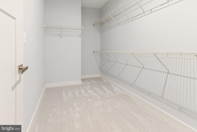 14438 Mattawoman Dr Unit 5000H, Brandywine, MD 20613 - spacious closet featuring carpet floors