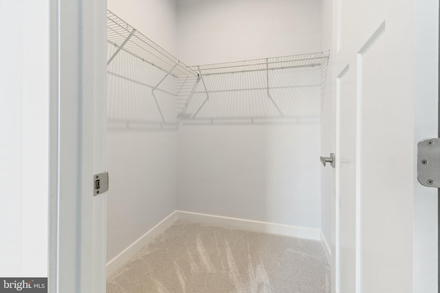14438 Mattawoman Dr Unit 5000H, Brandywine, MD 20613 - walk in closet with carpet flooring