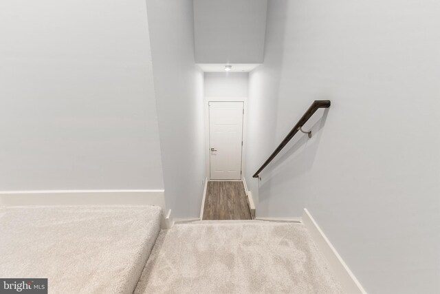 14438 Mattawoman Dr Unit 5000H, Brandywine, MD 20613 - stairway with carpet and baseboards