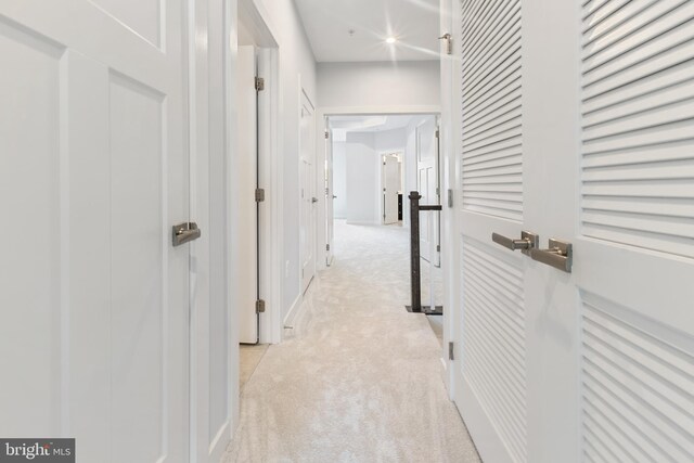 14438 Mattawoman Dr Unit 5000H, Brandywine, MD 20613 - corridor with light carpet